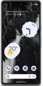 Google Pixel 7 (256GB)